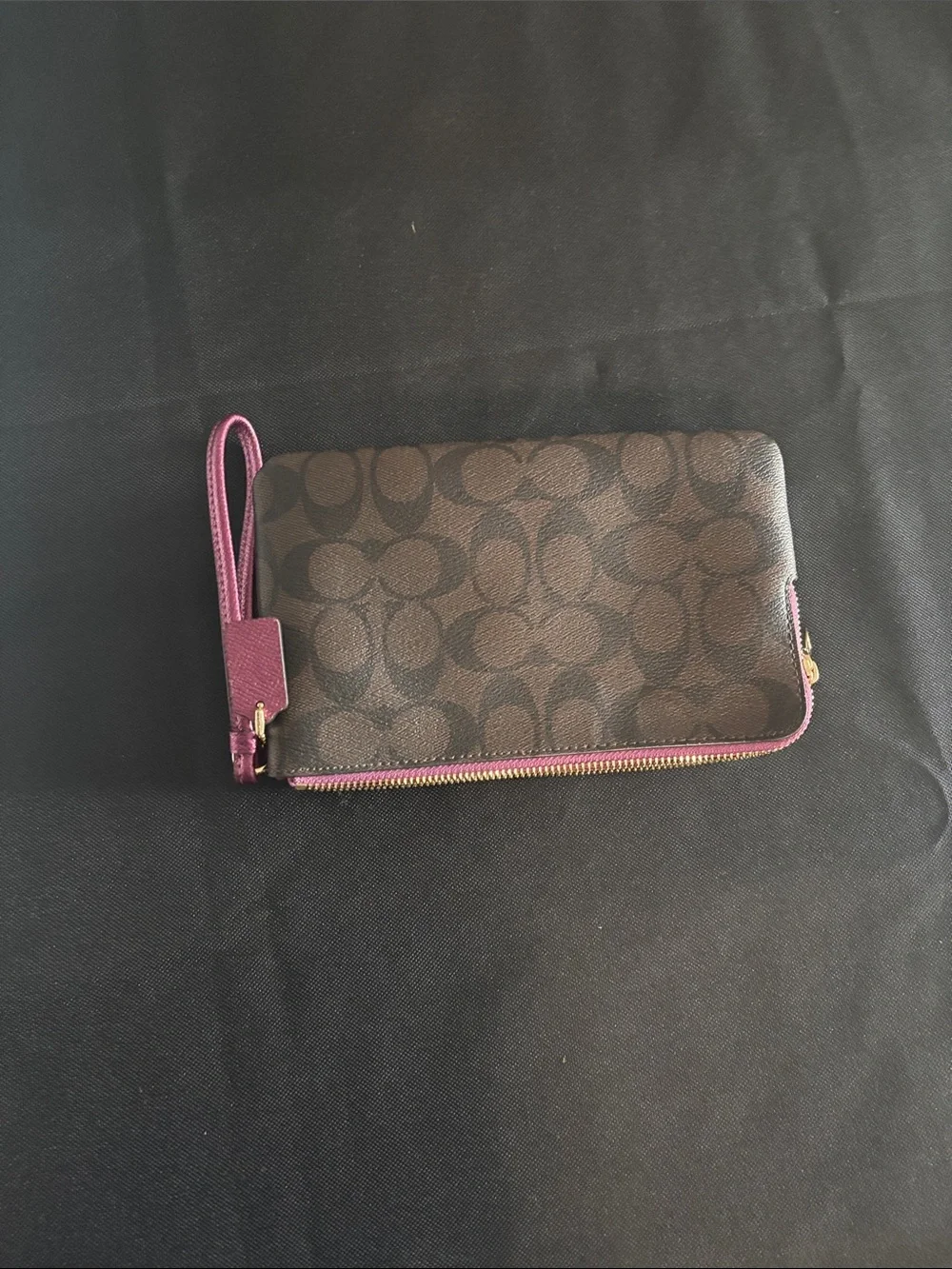 Coach signature canvas